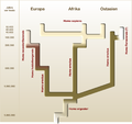 Human evolution Splitter view: including german descriptions