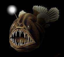 Глубоководные рыбы — Википедия