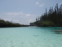 See Piscine naturelle