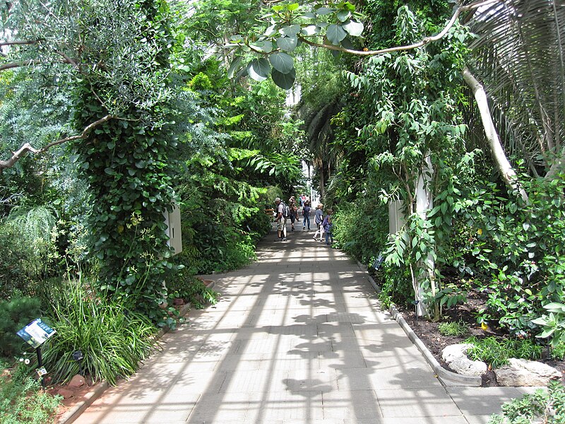 File:Inside the temperate house.JPG