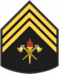 Знак отличия 3 сержант Bombeiro.PNG