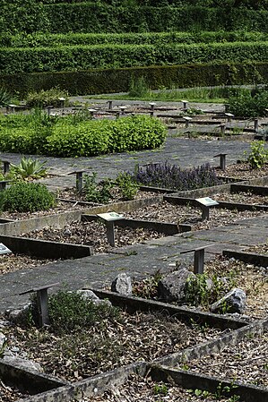 The Jardin des plantes medicinales Paul Moens. JP2017 234.jpg
