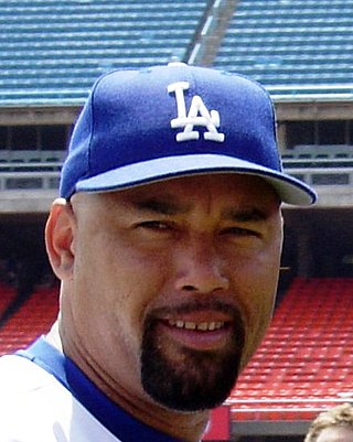 <span class="mw-page-title-main">José Lima</span> Dominican baseball player