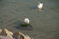 Przy wejściu nr 1 na plażę