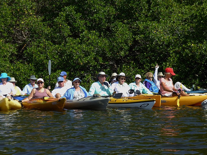 File:Kayak Paddle 4.28 (26) (26504085330).jpg