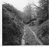 The old railway cutting at Kenwith Castle Kenwithcastlecutting.jpg