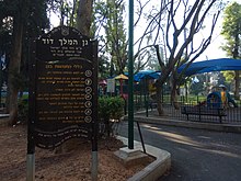 King David Garden (2).jpg