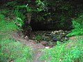 Robert Burns' Bath - the old cistern in the Kingen Cleugh Glen.