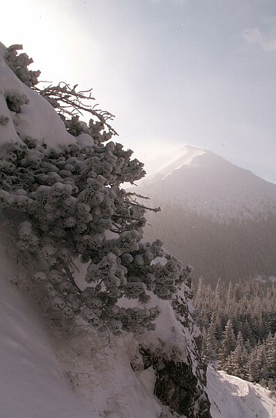 File:Koszysta - Tatry.jpg