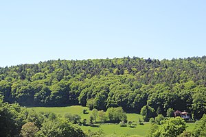 The Kriegelberg seen from Kleinhemsbach