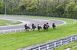 Thumbnail for Jutland Racecourse