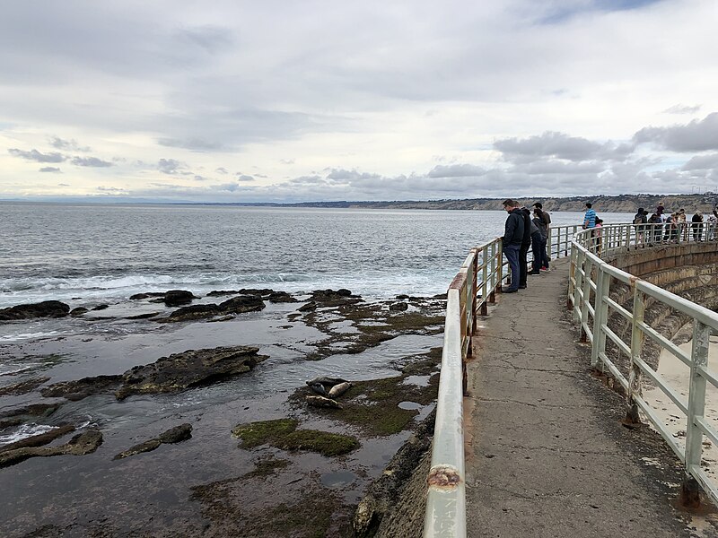 File:La Jolla Cove 31 2019-04-16.jpg