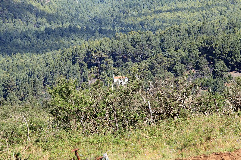 File:La Palma - El Paso - Ermita de la Virgen del Pino (LP-3) 01 ies.jpg