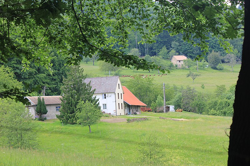 File:La ferme du Grambaechle à MASEVAUX - panoramio.jpg