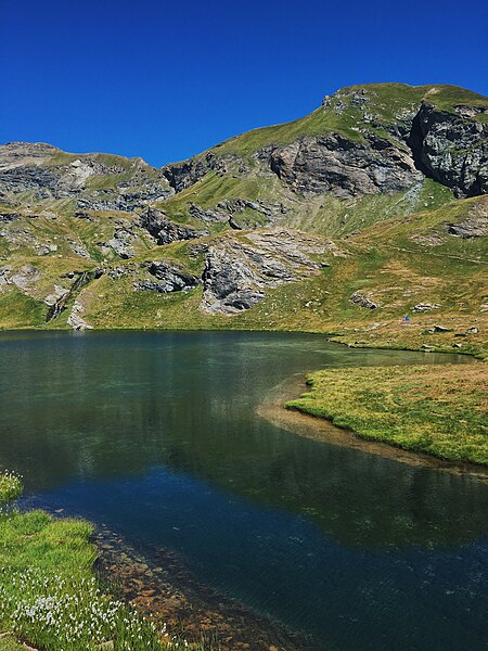 File:Lago Verde (Laghi Palasinaz).jpg