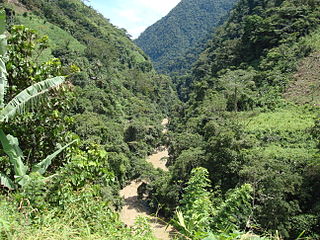 <span class="mw-page-title-main">Dabeiba</span> Municipality and town in Antioquia Department, Colombia