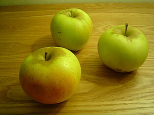 Äpfel der Sorte 'Landsberger Renette'