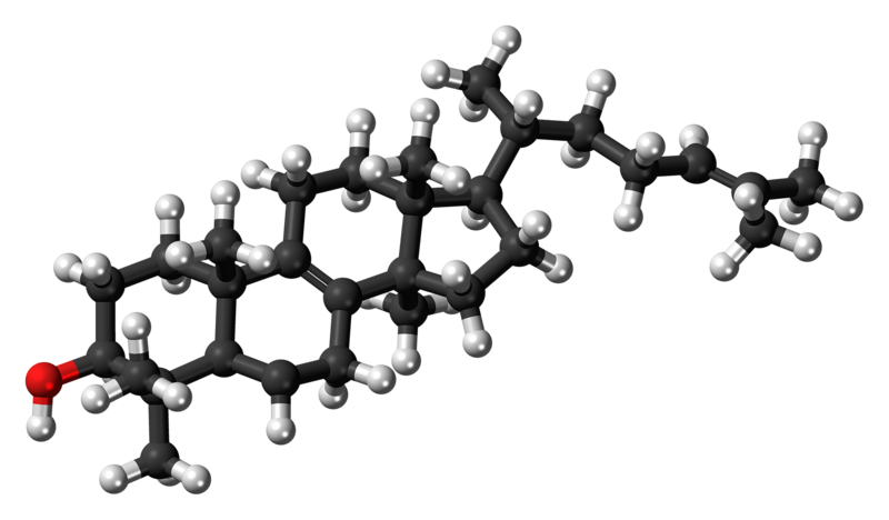 File:Lanosterol molecule ball.png