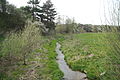 Čeština: Leštinský potok u Číchova, okr. Třebíč. English: Leštinský stream near Číchov, Třebíč District.