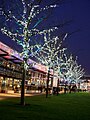 Liverpool One at Night