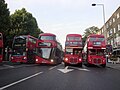 25 July 2014 LT81 Posing alongside Routemasters on the last day of heritage route 9
