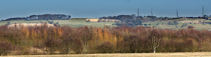 File:Looking across the Mersey Forest towards Billinge Hill - geograph.org.uk - 1740993.jpg