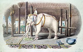 Elefante bianco del re di Birmania (acquerello 1855)