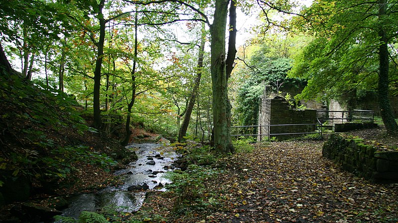 File:Lumsdale Valley Industrial Archaeological Site - geograph.org.uk - 583076.jpg