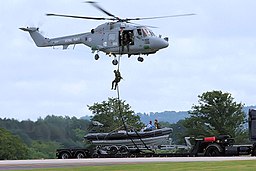 Lynx - RNAS Yeovilton 2006 (2439527616). 
 jpg