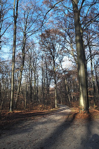 File:München-Nymphenburg Schlosspark Nymphenburg 242.jpg