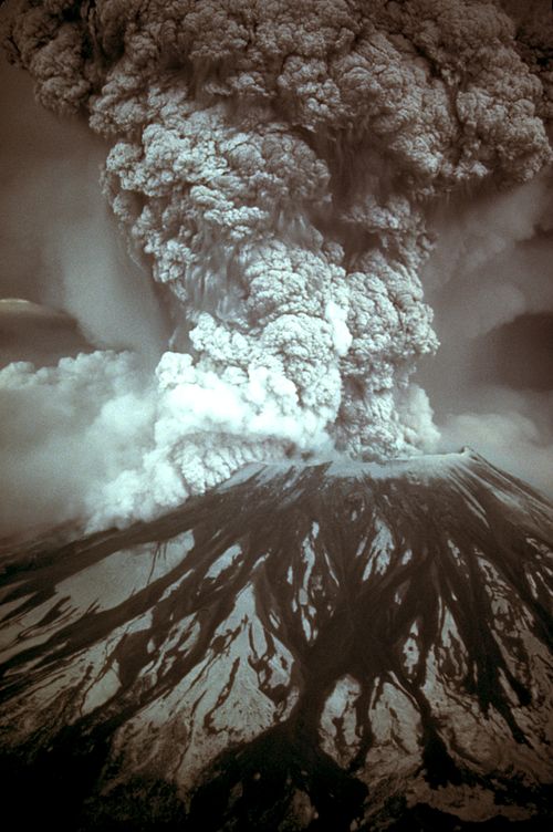 Photograph of the eruption column, May 18, 1980, taken by Austin Post