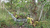 Bahasa Indonesia: Makam Massal untuk Korban Kerusuhan "Jumat Kelabu" pada tahun 1997 English: Mass Grave for "Gray Friday" Riot Victims in 1997 Banjar: Kuburan bubuhan korban Jumat Kelabu pada tahun 1997