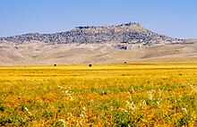 Blick aus der mesopotamischen Ebene bei Kızıltepe auf die Mardin-Stufe und die Stadt Mardin, wo das plateauartige Massiv im Süden seine höchsten Erhebungen erreicht. Die Mardin-Antiklinale erstreckt sich über mehr als 40 km in Ost-West-Richtung und wird von einer markanten Bruchlinie im Süden begrenzt.