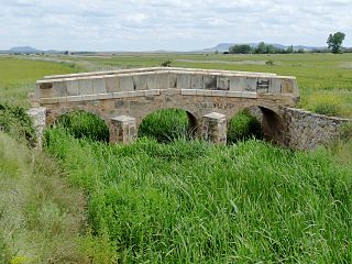 <span class="mw-page-title-main">Puente de Masegoso</span> Historic site in Pozalmuro, Spain