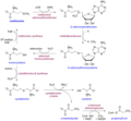Methionine biochemical paths.png