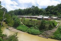 Modern Iban Longhouse