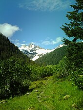 Mount Anderson as seen from the East Fork of the Quinault River