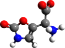 Muscazone 3d structuur.png