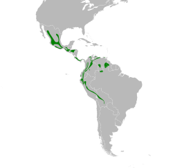 Myioborus miniatus map.svg