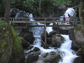 La instalación de escalada en Myra Falls