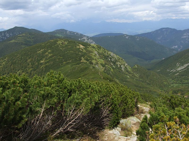 File:Nízke Tatry 2009-06 01.jpg