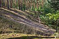 Das Naturschutzgebiet Sandfluren bei Volkach, Schwarzach am Main und Sommerach