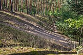 Das Naturschutzgebiet auf der Dimbacher Gemarkung