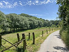 Düssel begleitet von Auwald - Buscherdelle (nördl. Teilfläche des NSG)