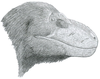 Artist's restoration of Nanuqsaurus.