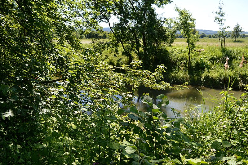 File:Naturschutzgebiet Am roten Steine - Innerste (225).jpg