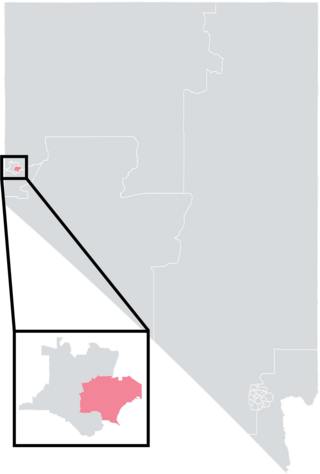 <span class="mw-page-title-main">Nevada's 13th Senate district</span> American legislative district