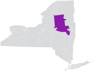 <span class="mw-page-title-main">New York's 49th State Senate district</span> American legislative district