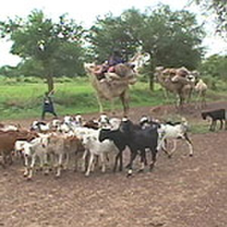 Tập_tin:Niger_nomads_flee_drought_16_aug_2005.jpg