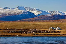 Pastoral nomads in Mongolia Nomads Day Festival 12.jpg